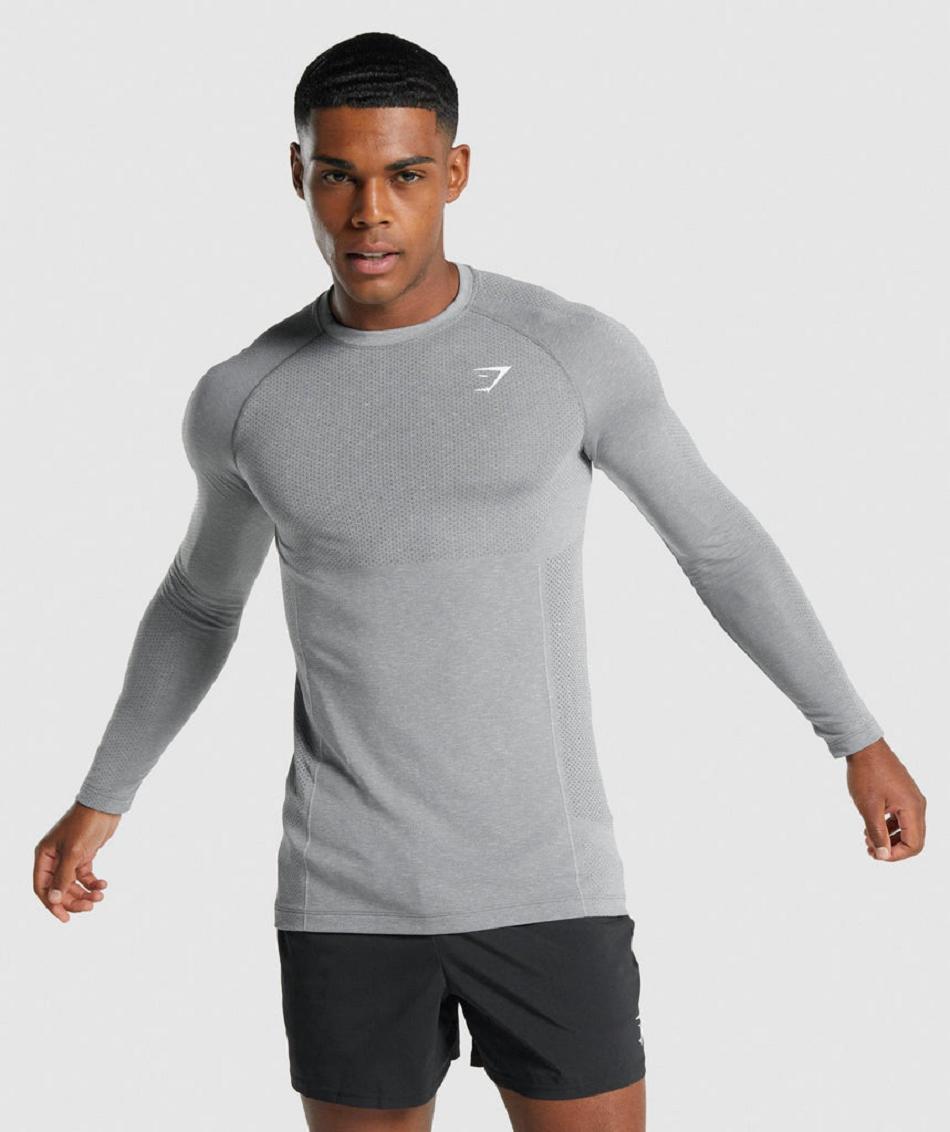 Long Sleeve Gymshark Vital Light Seamless Hombre Gris | CO 3520VRW